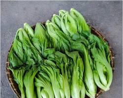 Image of Mustard Greens Gai Choy plant whole